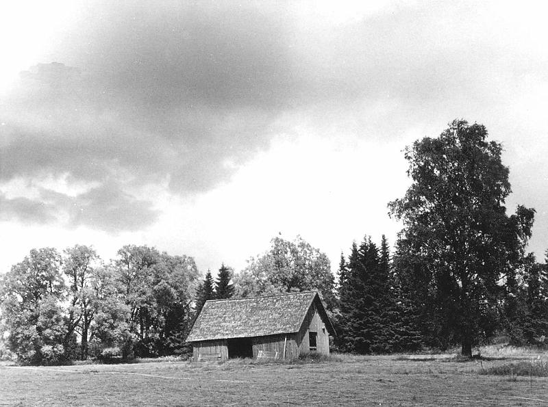 Veskirahva vaade heinamaalt, juuli 1962.a...JPG